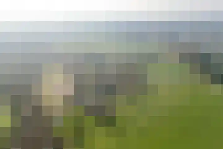 Uffelterkerkweg 3 Havelte thumbnail 93