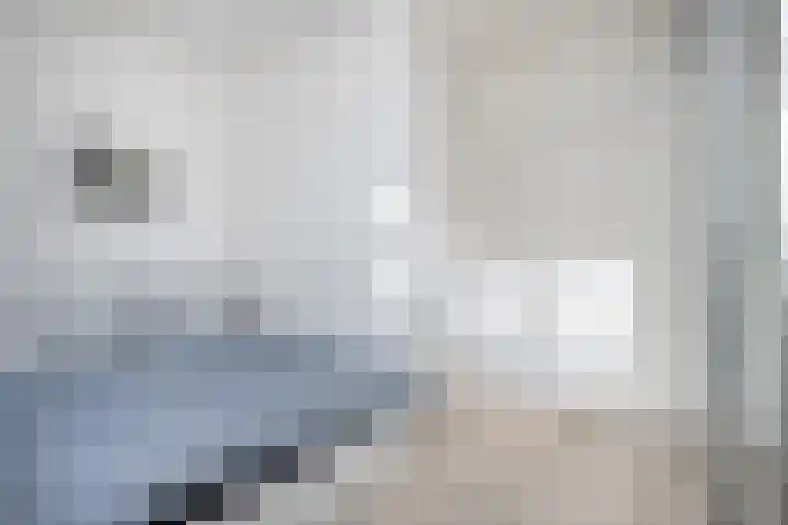 Uffelterkerkweg 3 Havelte thumbnail 94