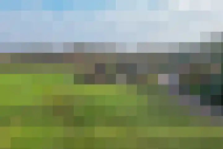 Uffelterkerkweg 3 Havelte thumbnail 94