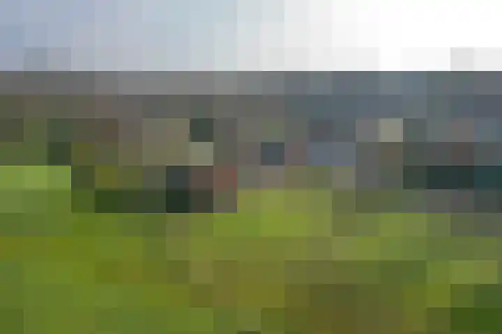 Uffelterkerkweg 3 Havelte thumbnail 95