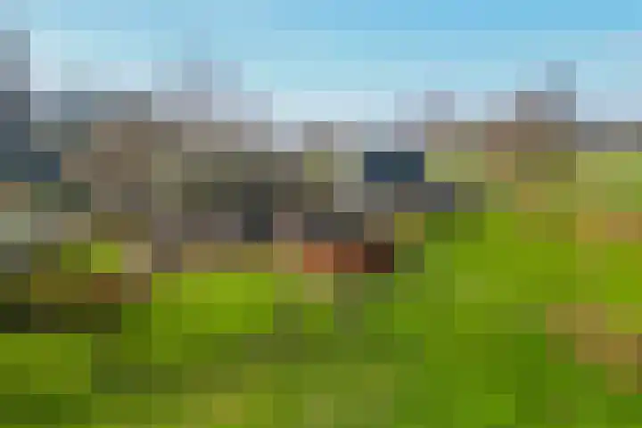 Uffelterkerkweg 3 Havelte thumbnail 96