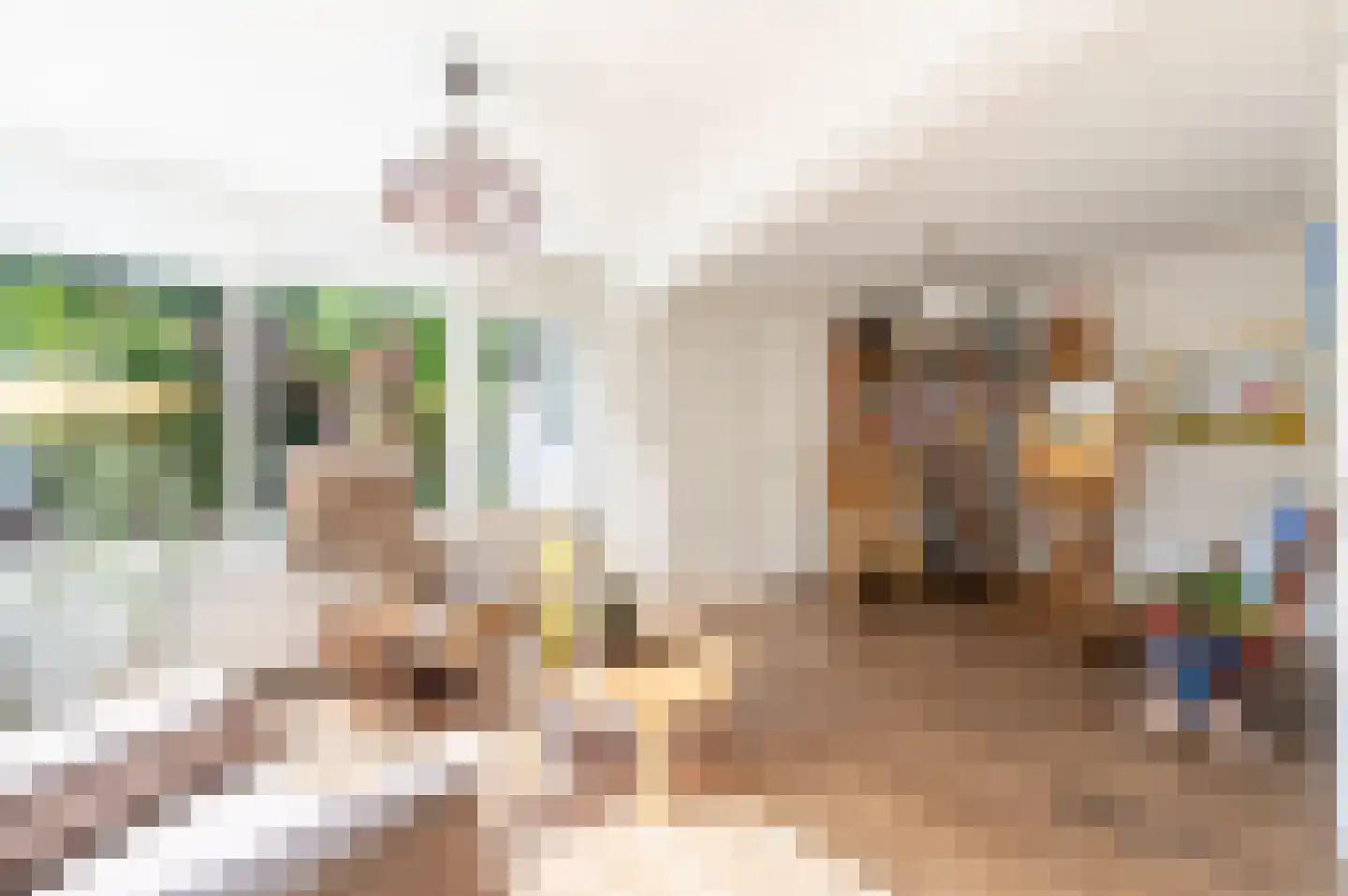 Ugchelsegrensweg 183 Ugchelen thumbnail 14
