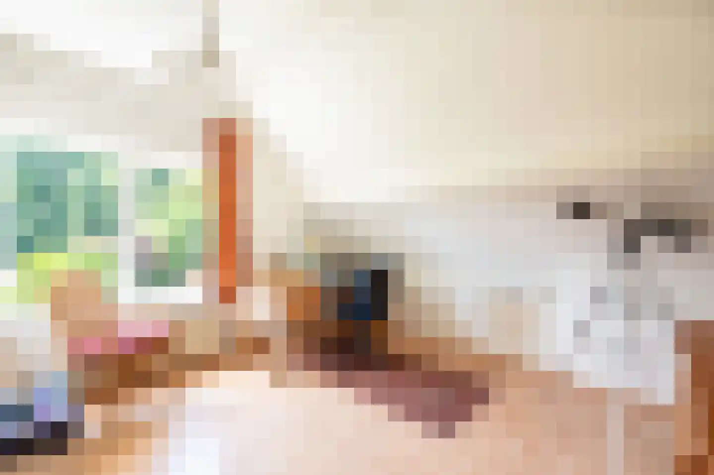 Ugchelsegrensweg 183 Ugchelen thumbnail 24