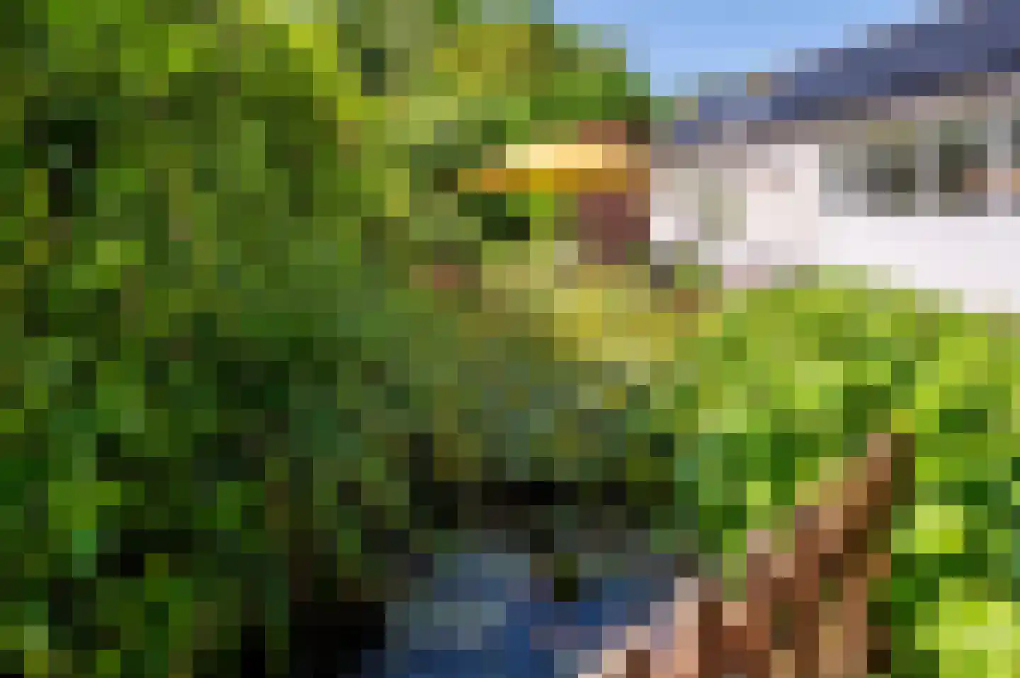 Ugchelsegrensweg 183 Ugchelen thumbnail 22