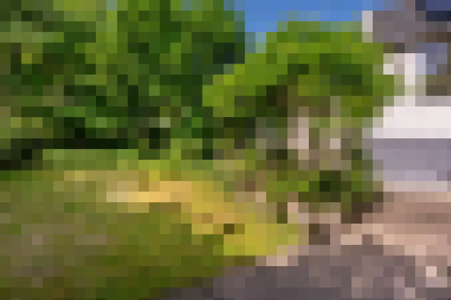Ugchelsegrensweg 183 Ugchelen thumbnail 24
