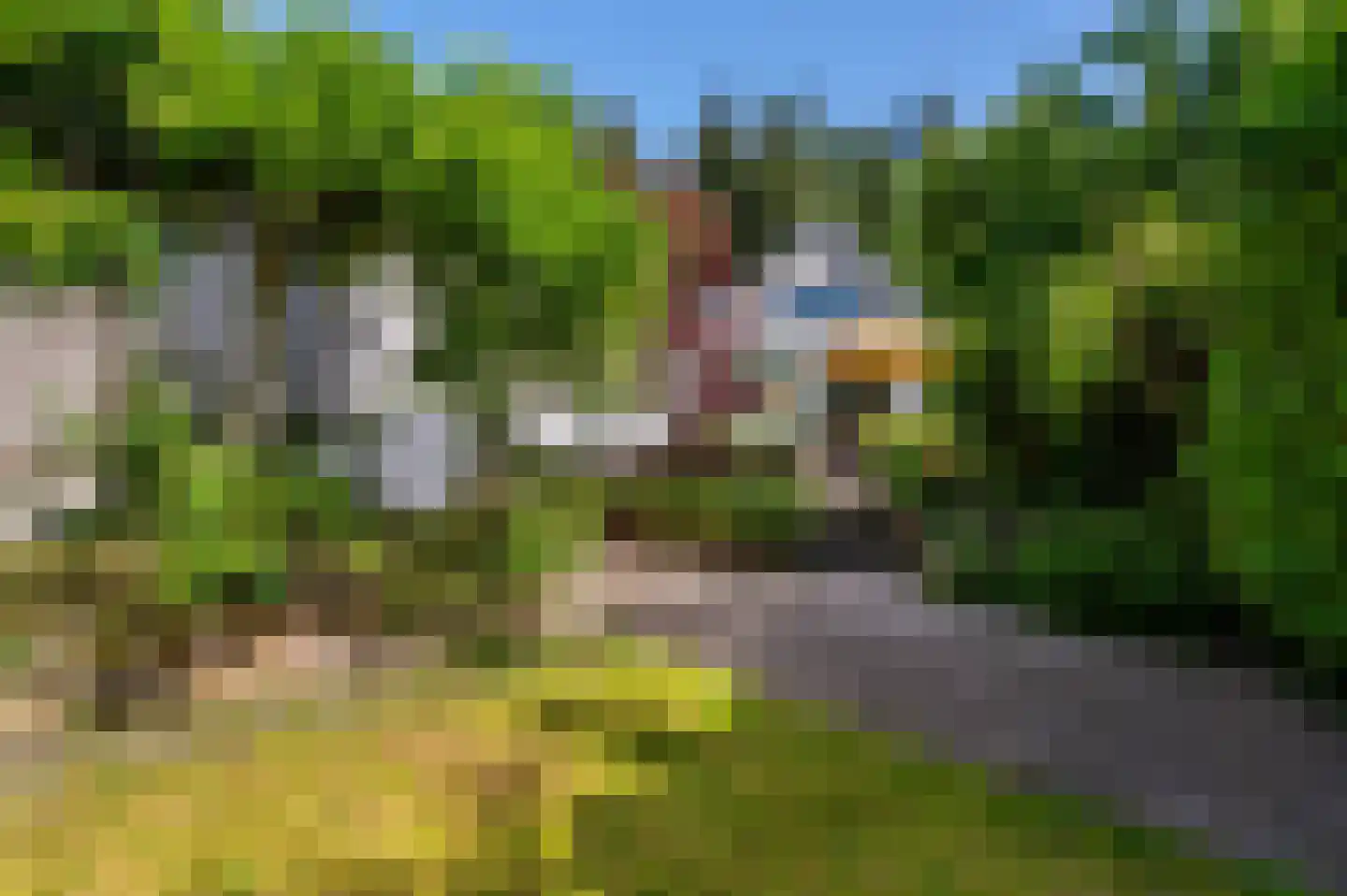 Ugchelsegrensweg 183 Ugchelen thumbnail 25