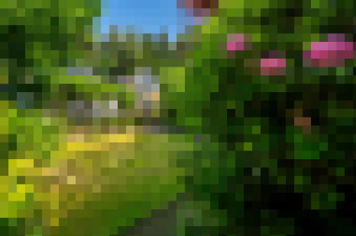 Ugchelsegrensweg 183 Ugchelen thumbnail 28