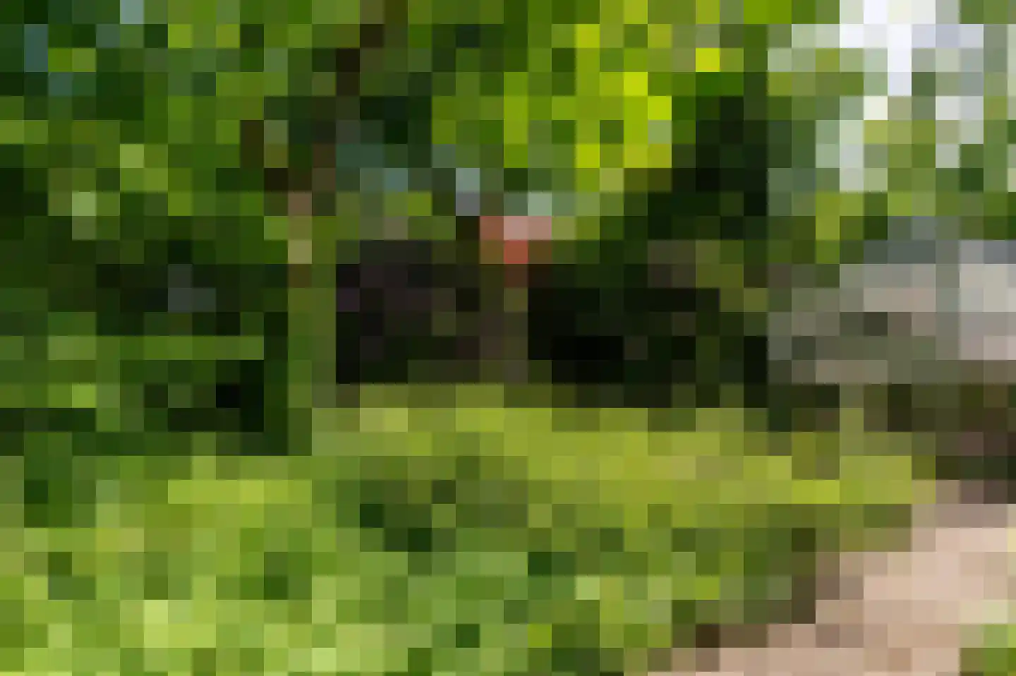 Ugchelsegrensweg 183 Ugchelen thumbnail 36