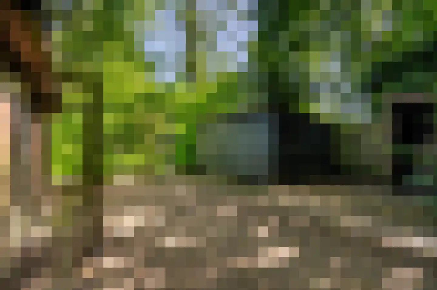Ugchelsegrensweg 183 Ugchelen thumbnail 29