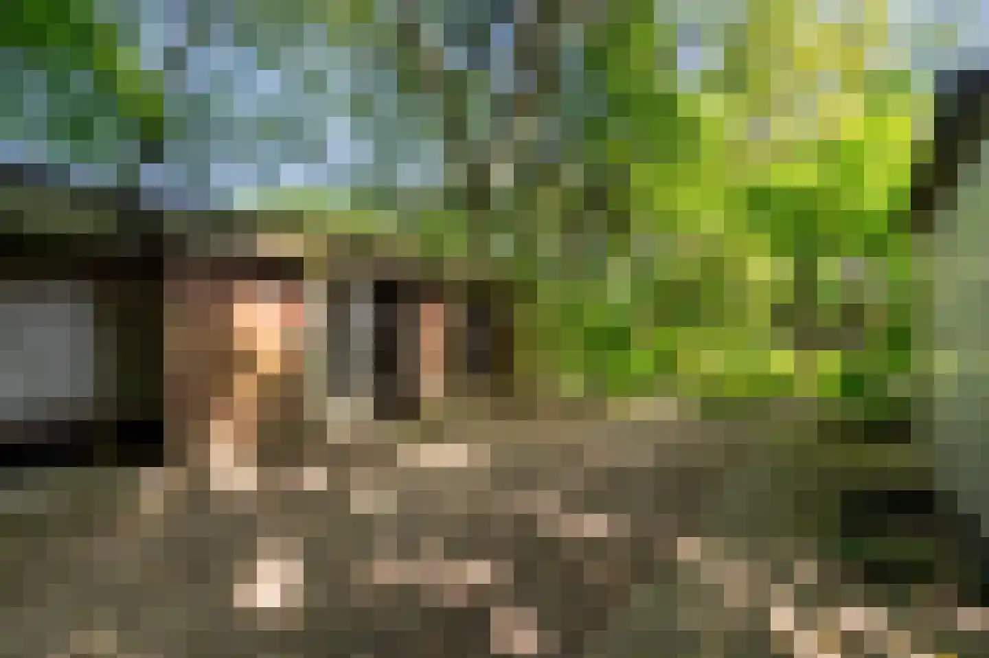 Ugchelsegrensweg 183 Ugchelen thumbnail 38
