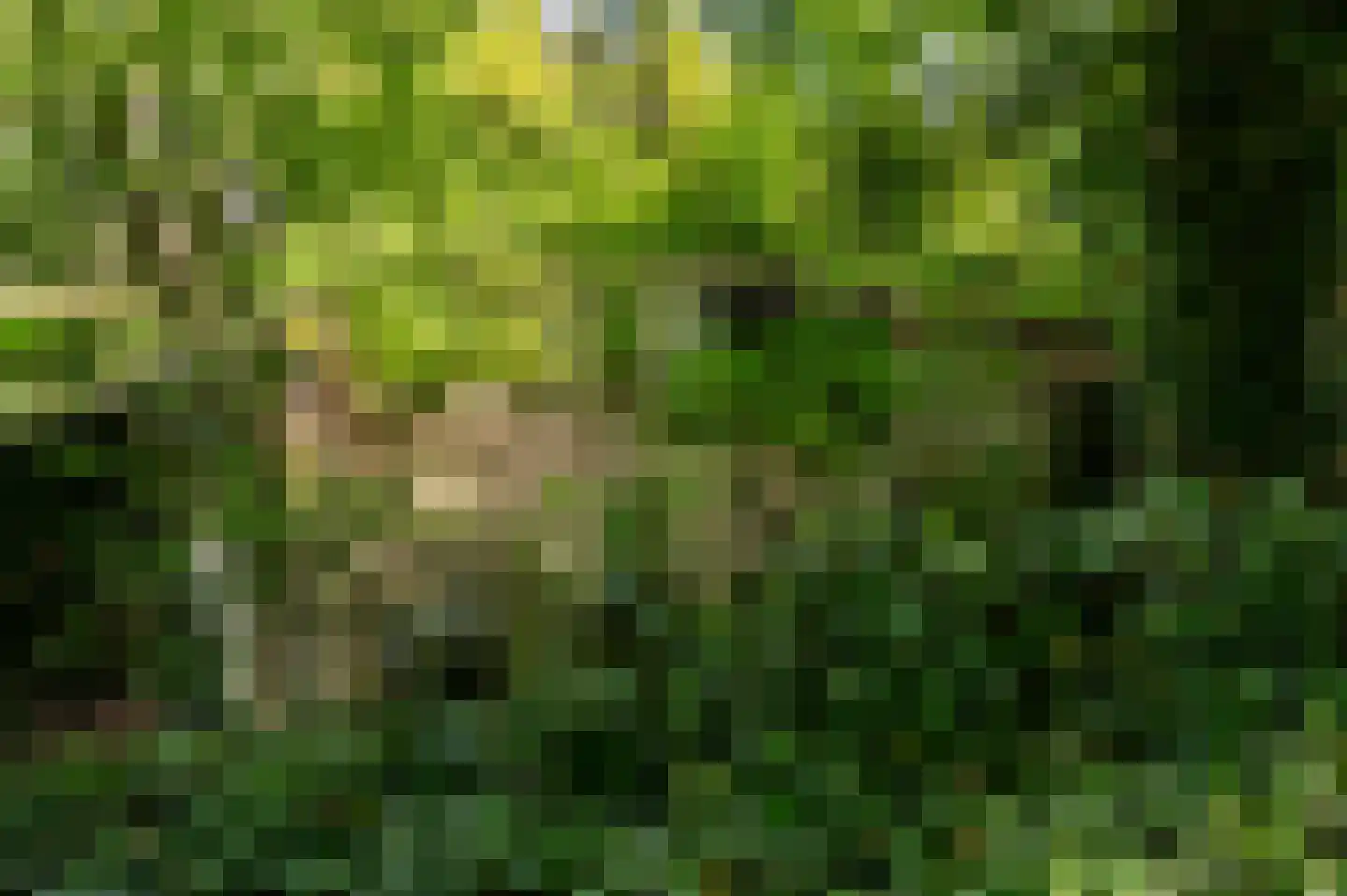 Ugchelsegrensweg 183 Ugchelen thumbnail 30
