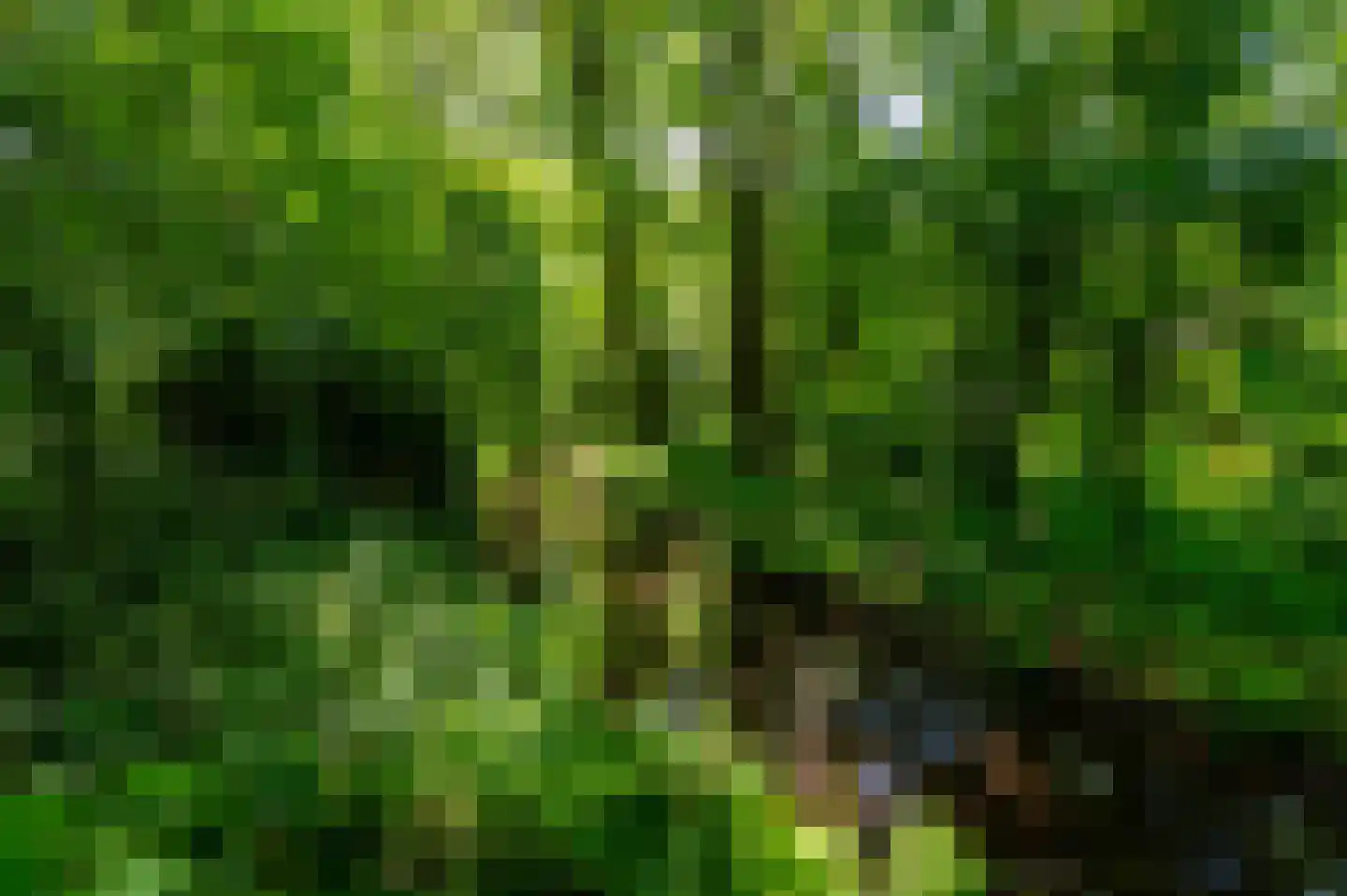 Ugchelsegrensweg 183 Ugchelen thumbnail 31