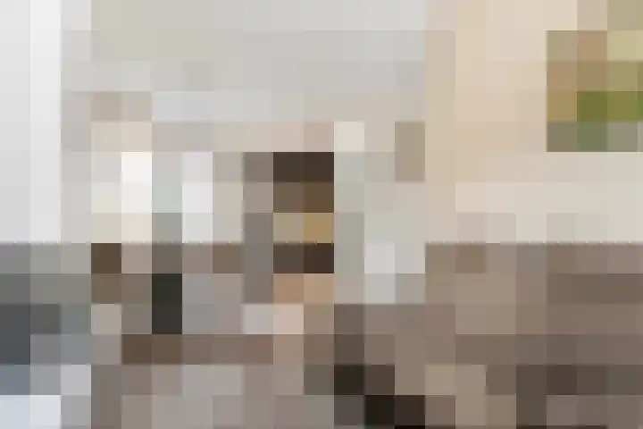 Ugchelseweg 203 D Ugchelen thumbnail 10