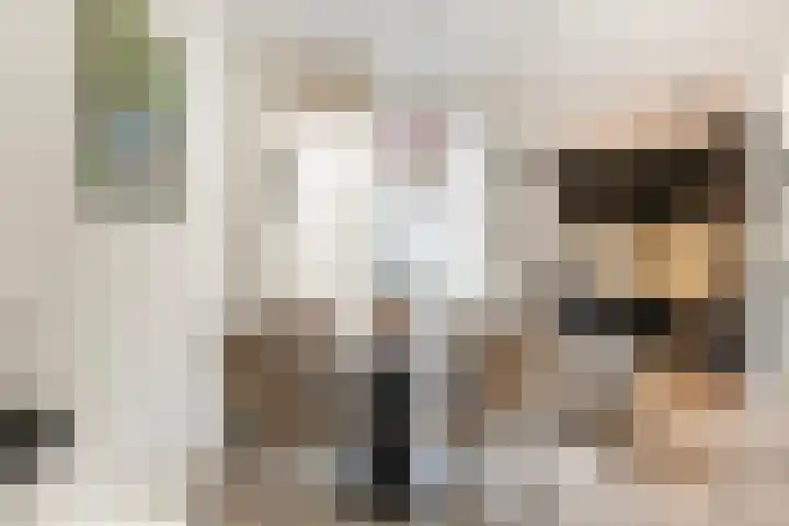 Ugchelseweg 203 D Ugchelen thumbnail 11