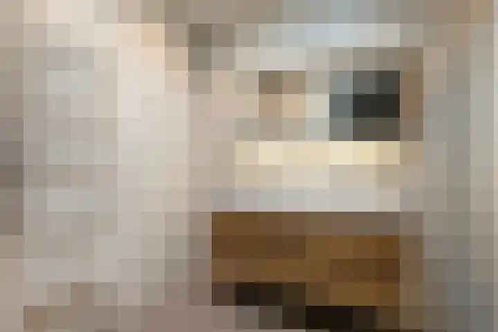 Ugchelseweg 203 D Ugchelen thumbnail 19