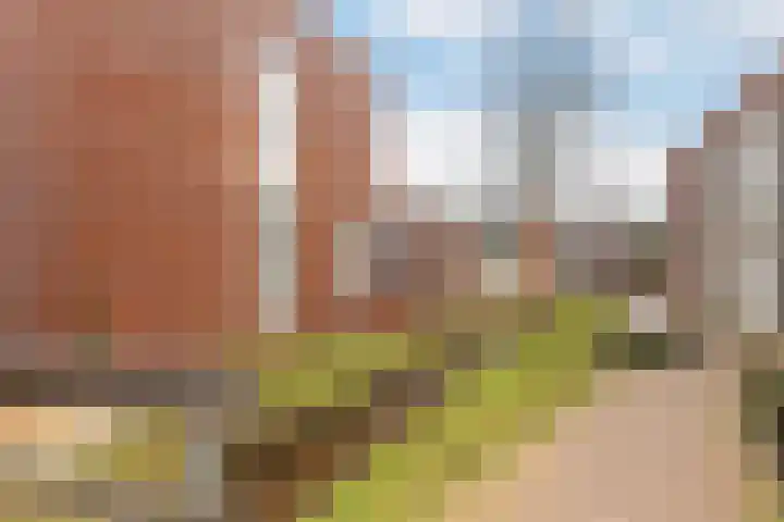 Ugchelseweg 203 D Ugchelen thumbnail 31