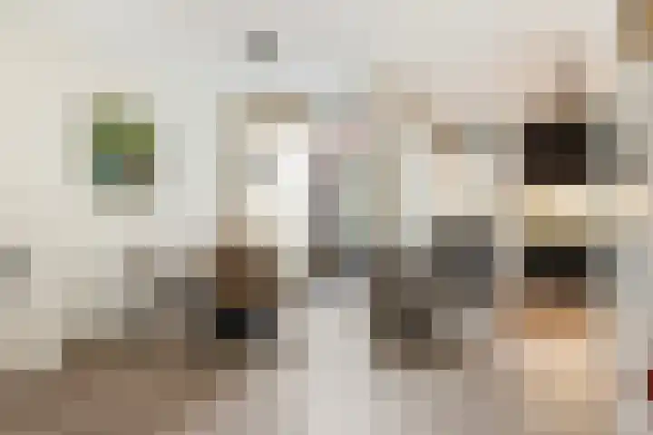 Ugchelseweg 203 D Ugchelen thumbnail 8