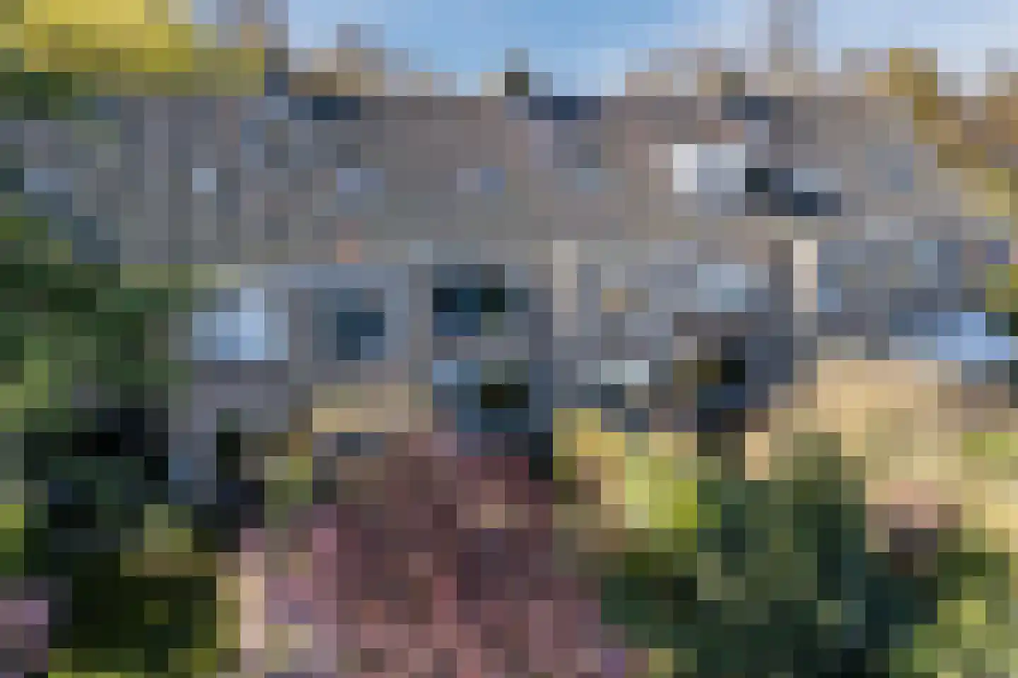 Uhlenbeckkade 15 Leiden thumbnail 23