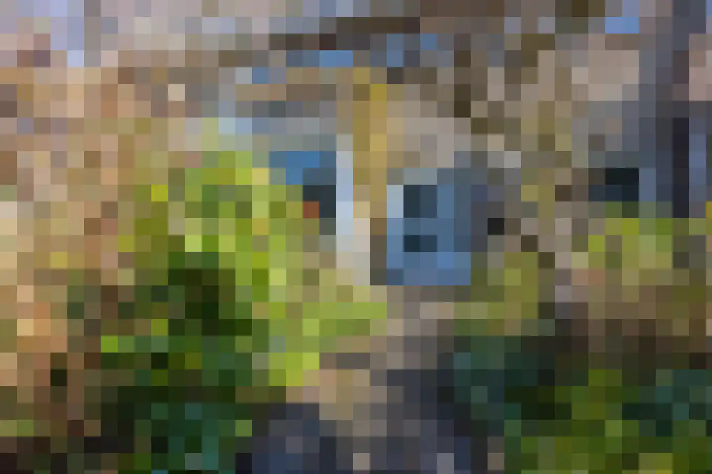 Uhlenbeckkade 15 Leiden thumbnail 5