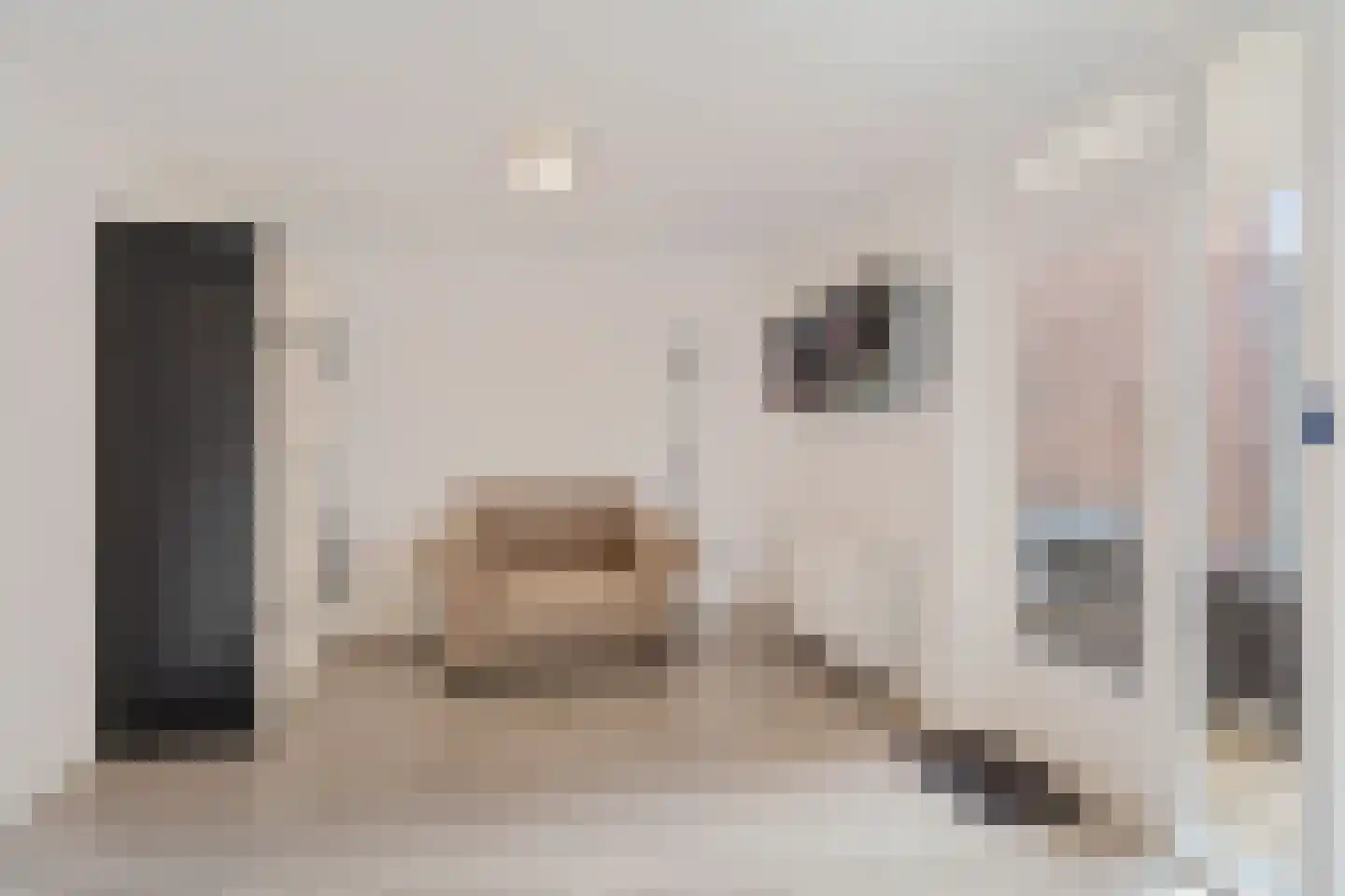 Uienakker 1 Zoetermeer thumbnail 10