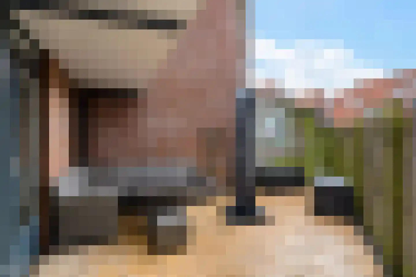 Uienakker 1 Zoetermeer thumbnail 11