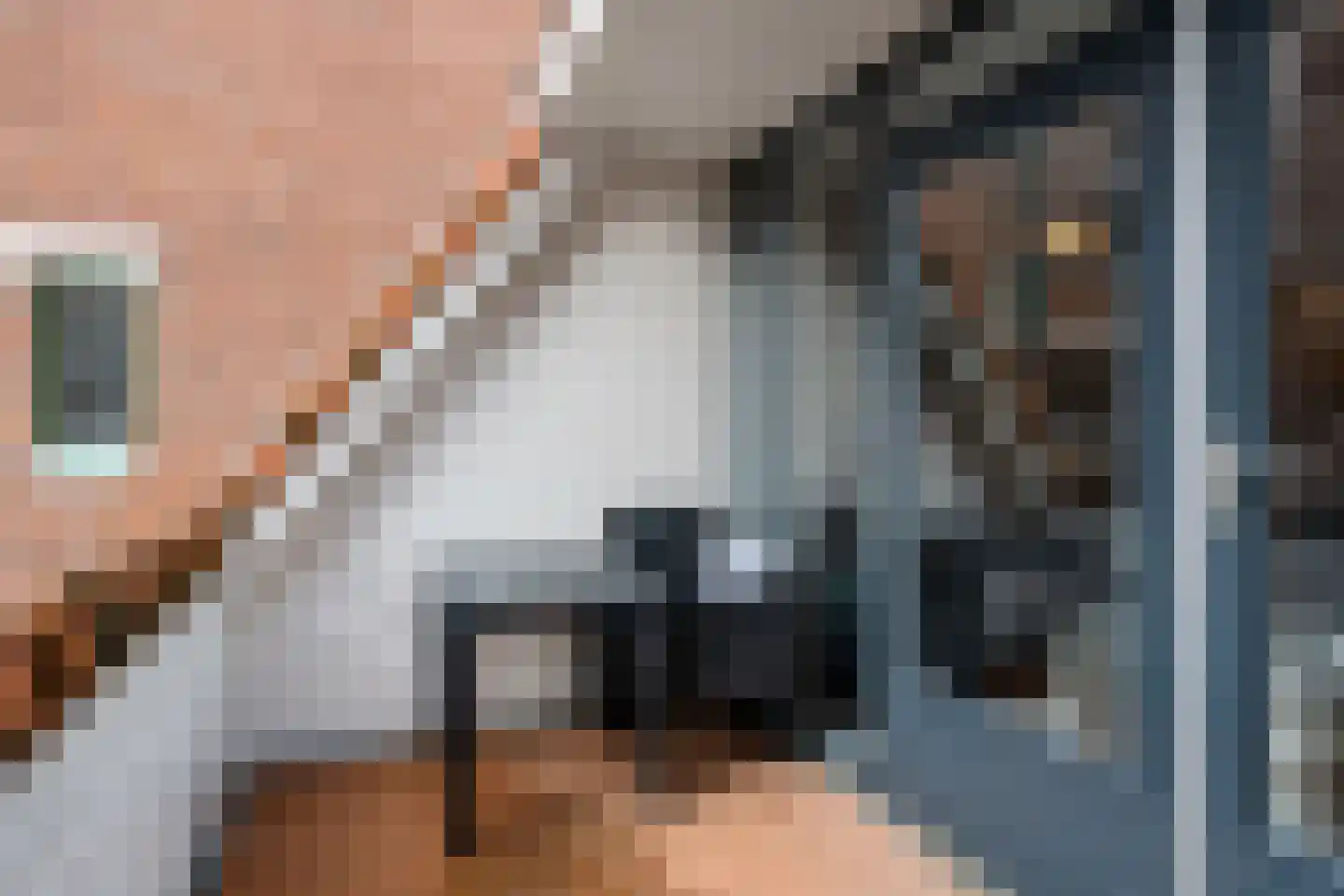 Uienakker 1 Zoetermeer thumbnail 19