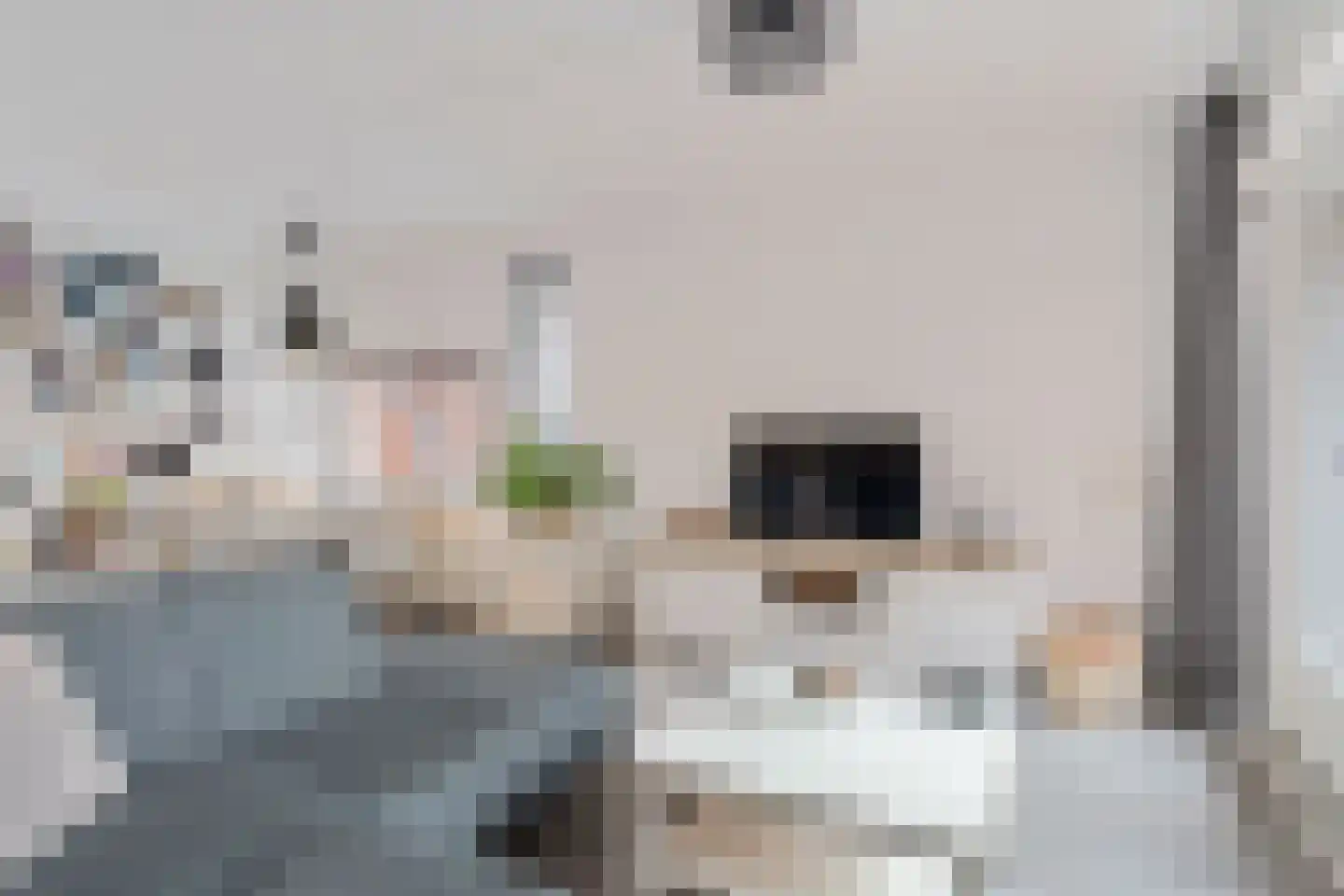 Uienakker 1 Zoetermeer thumbnail 20