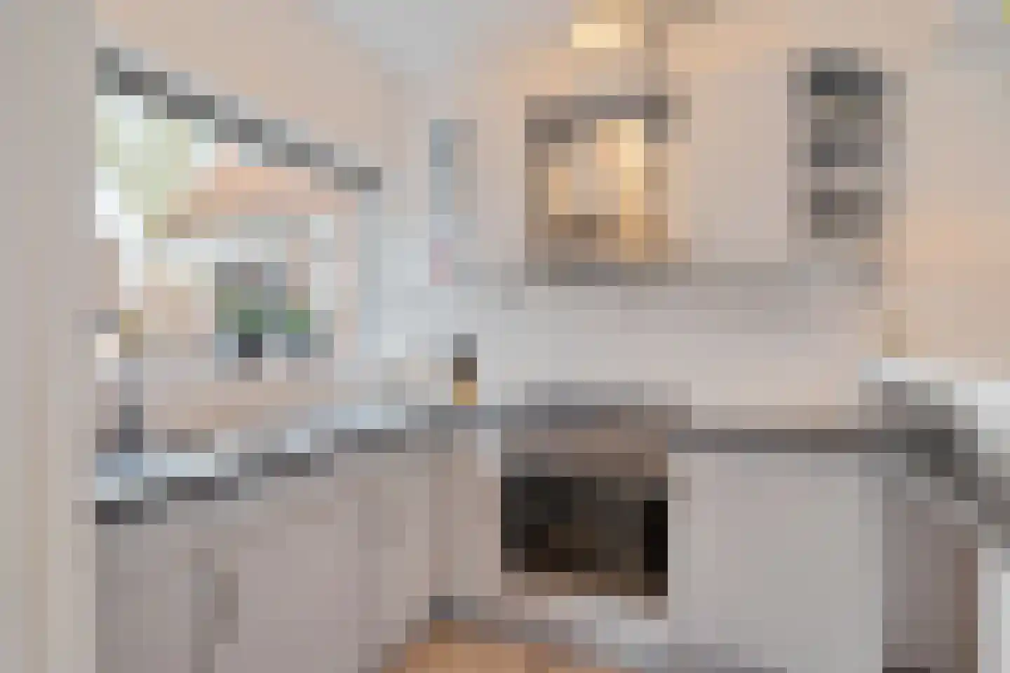 Uienakker 1 Zoetermeer thumbnail 25