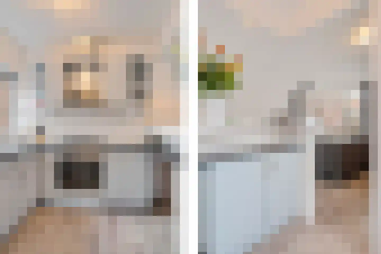 Uienakker 1 Zoetermeer thumbnail 26
