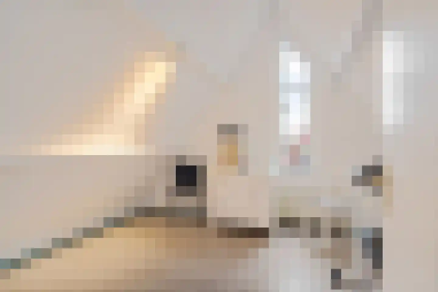 Uienakker 1 Zoetermeer thumbnail 34