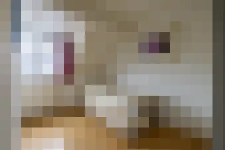 Uijlenbroeklaan 13 Doetinchem thumbnail 32