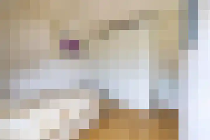 Uijlenbroeklaan 13 Doetinchem thumbnail 33