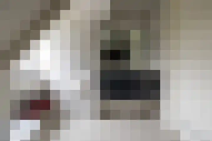 Uijlenbroeklaan 13 Doetinchem thumbnail 39
