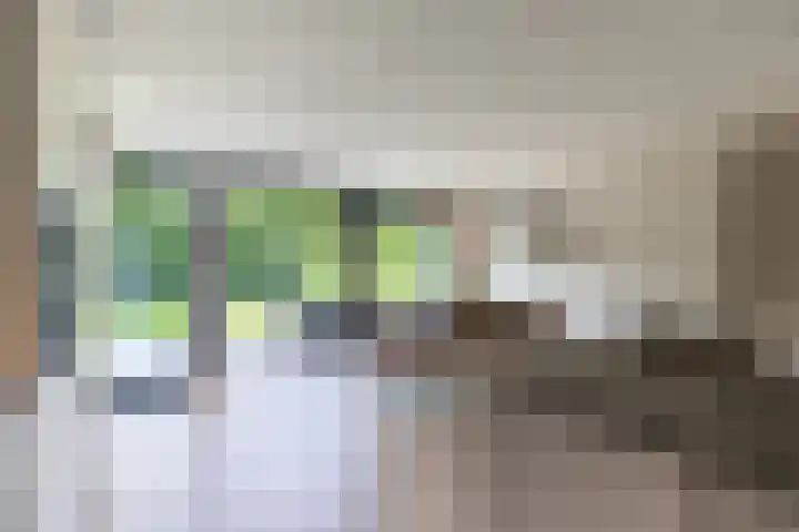 Uijlenbroeklaan 28 Doetinchem thumbnail 15