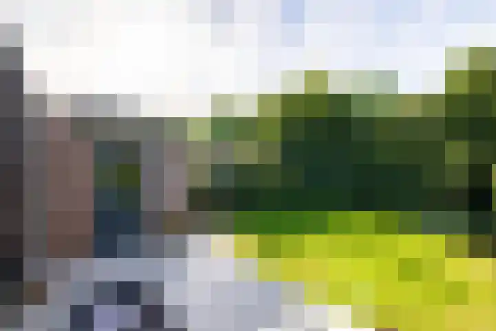 Uijlenbroeklaan 28 Doetinchem thumbnail 20