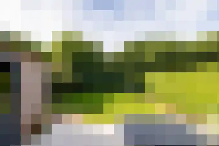 Uijlenbroeklaan 28 Doetinchem thumbnail 21
