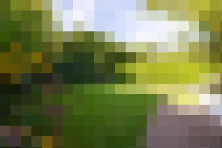 Uijlenbroeklaan 28 Doetinchem thumbnail 22