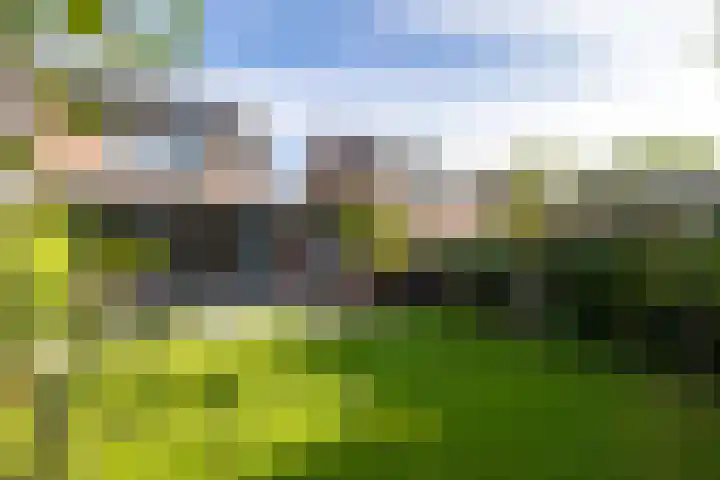 Uijlenbroeklaan 28 Doetinchem thumbnail 26