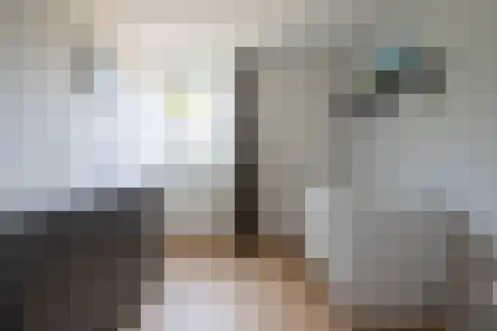 Uijlenbroeklaan 28 Doetinchem thumbnail 38