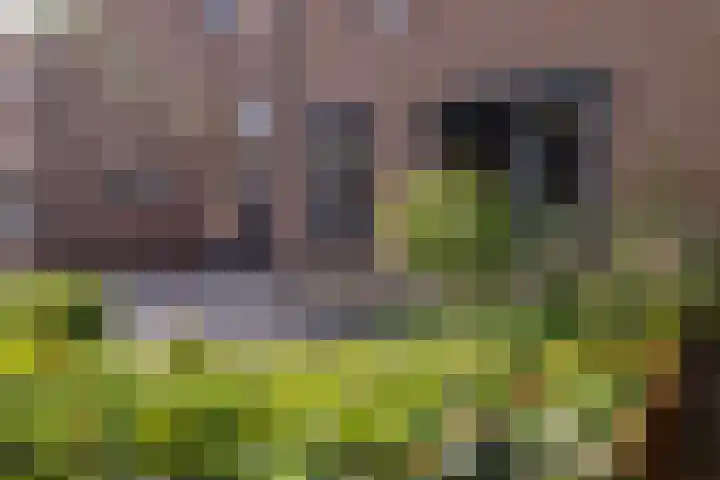 Uijlenbroeklaan 28 Doetinchem thumbnail 57