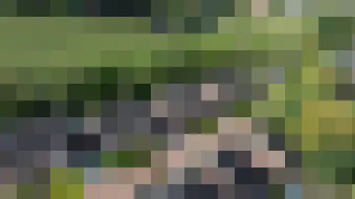 Uijlenbroeklaan 28 Doetinchem thumbnail 61