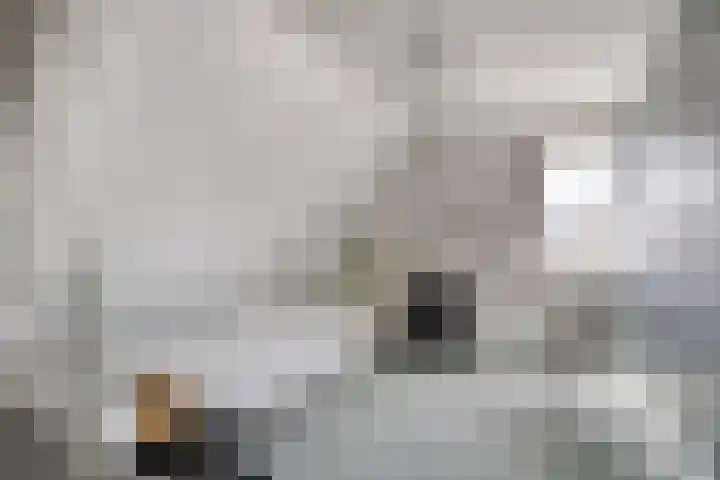 Uilebaardlaan 45 Barneveld thumbnail 30