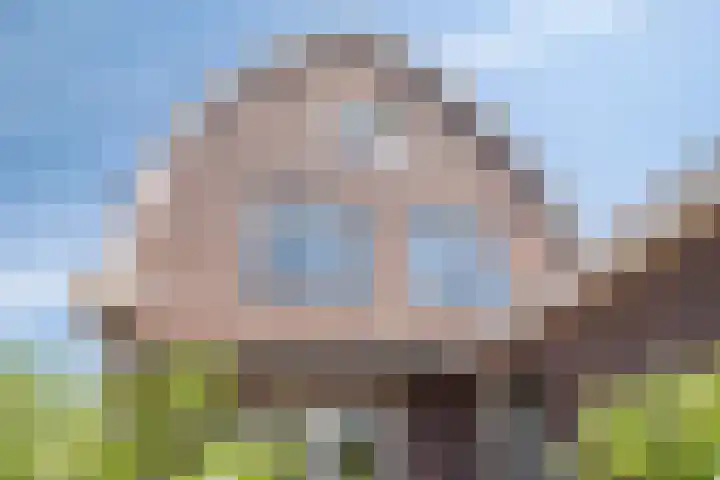 Uilebaardlaan 45 Barneveld thumbnail 39