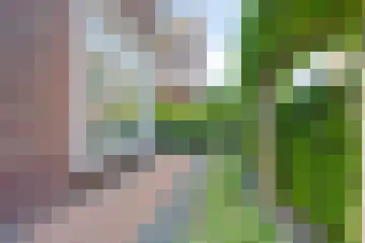 Uilebaardlaan 45 Barneveld thumbnail 40