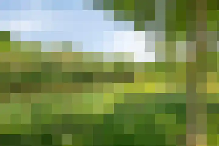 Uilebaardlaan 45 Barneveld thumbnail 42