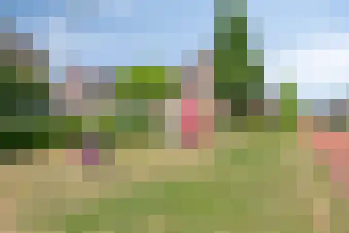 Uilebaardlaan 45 Barneveld thumbnail 43