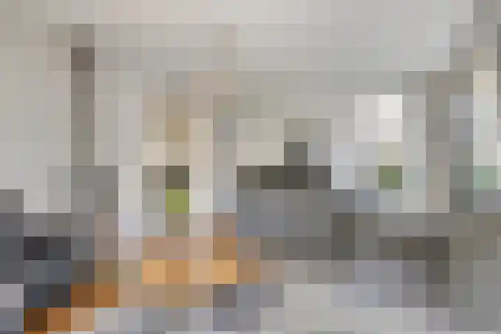 Uilebaardlaan 45 Barneveld thumbnail 7