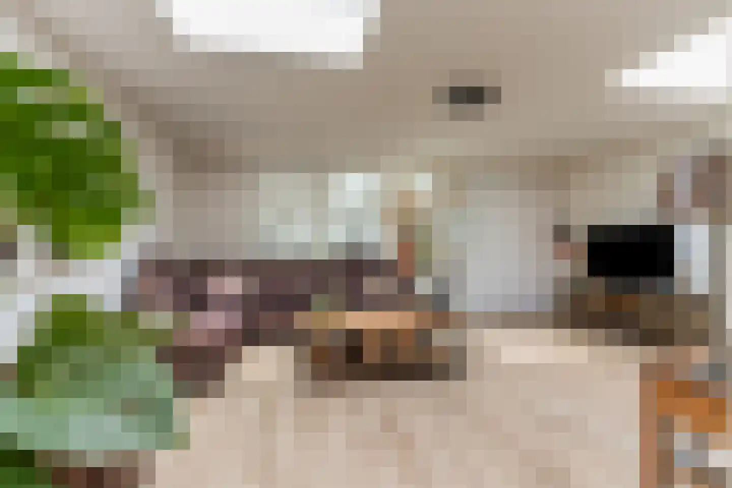 Uilecotenweg 12 Ammerzoden thumbnail 11
