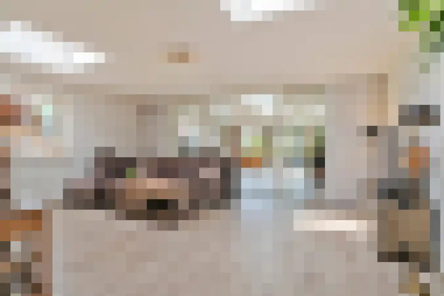 Uilecotenweg 12 Ammerzoden thumbnail 17
