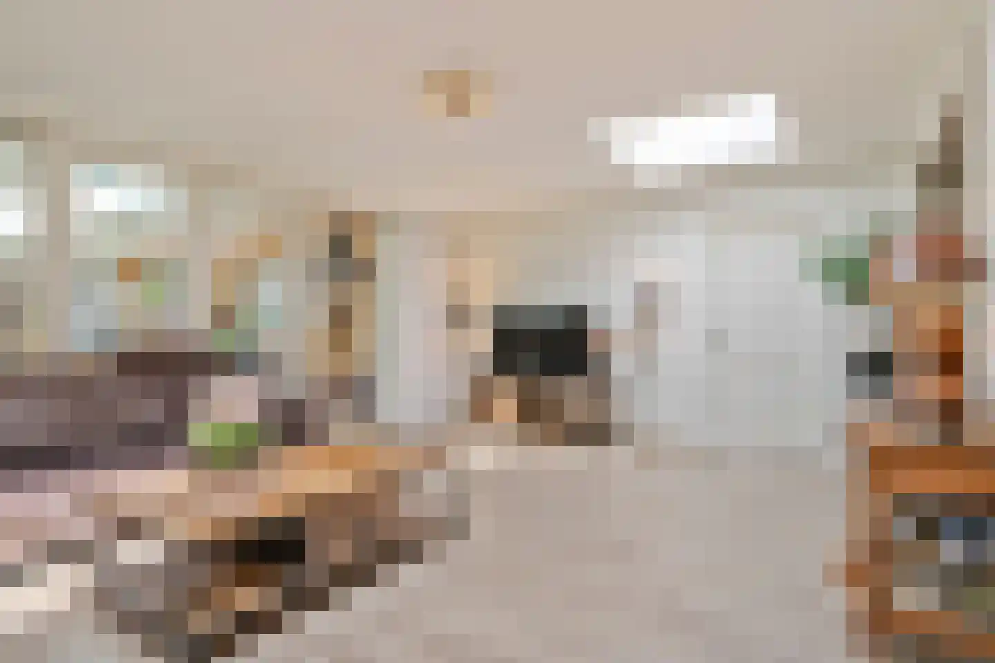 Uilecotenweg 12 Ammerzoden thumbnail 18